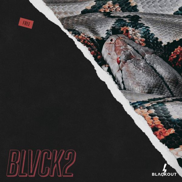 Download Sample pack Blvck 2 (Free Loop Kit)