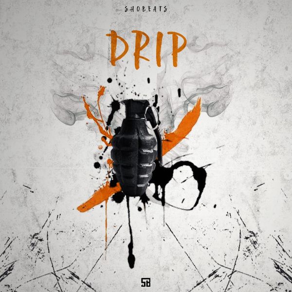 Download Sample pack DRIP (Sound Kits)